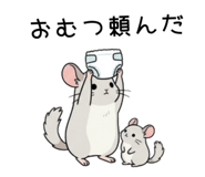 855511791