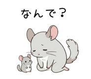 855511801