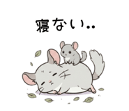 855511806
