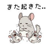 855511809