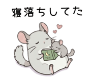 855511814