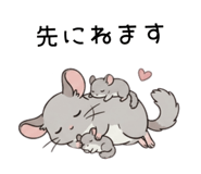 855511816