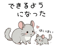 855511822