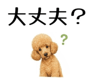 855511826