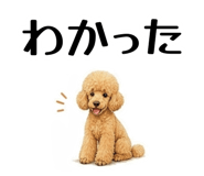 855511836