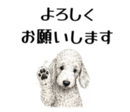 855511905