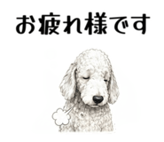 855511907