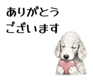855511908