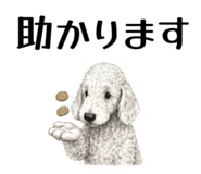 855511911