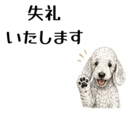855511913