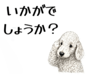 855511914