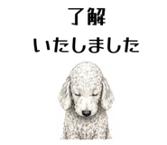 855511916