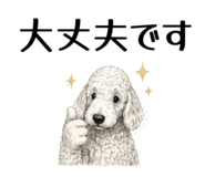 855511917