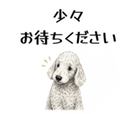 855511918