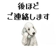 855511919