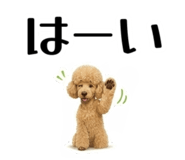 855511992