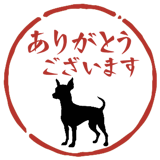855513101
