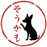 855513113