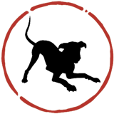 855513116