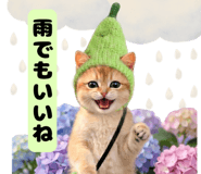 855513284