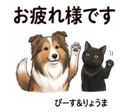 855514314