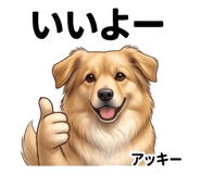 855514536