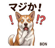 855514802