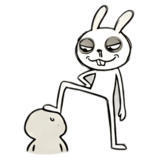 855515240