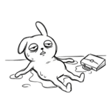 855515243