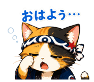 855516179