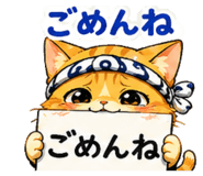 855516198
