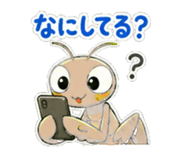 855516338