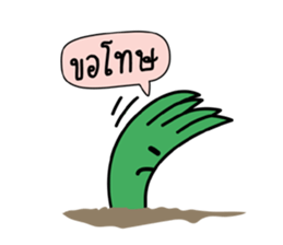 8555186