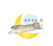 855518839
