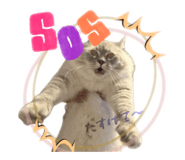 855519047