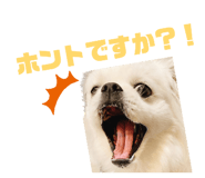 855520204