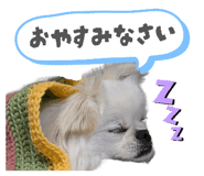 855520208