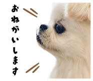 855520210