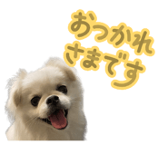 855520214