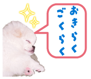 855520225