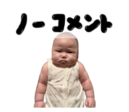 855520376
