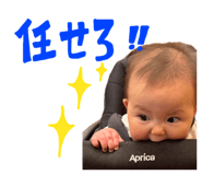 855520379