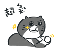 855520502