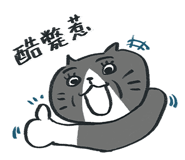 855520513