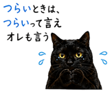 855520645