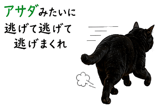 855520647