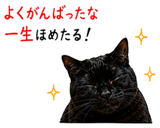 855520649