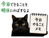 855520650