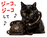 855520653