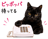 855520654